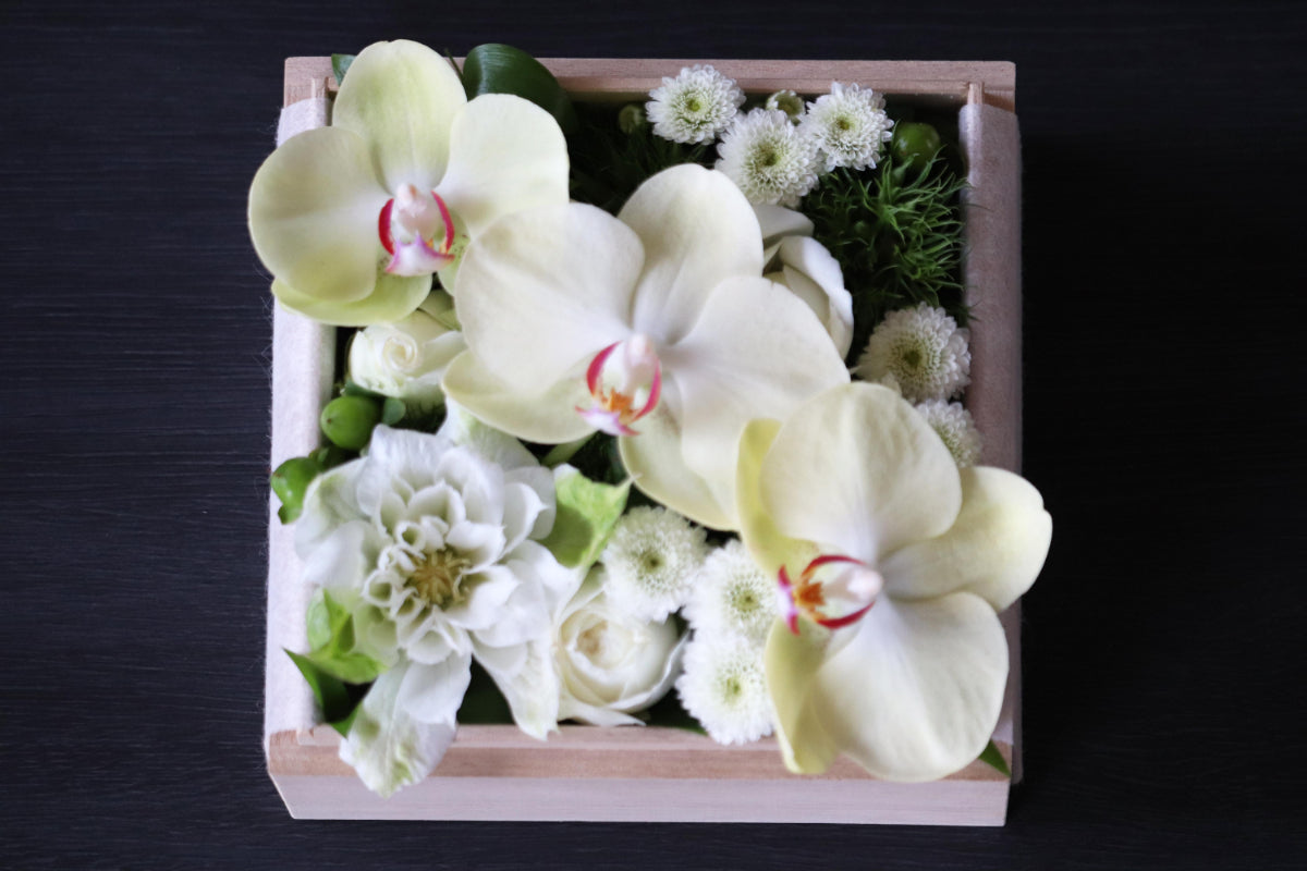 桐の花箱・小白 – 株式会社 マル源